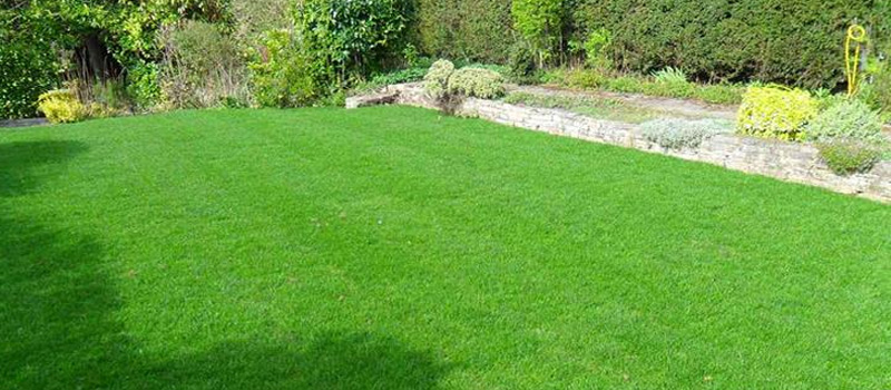 TURFING SERVICES